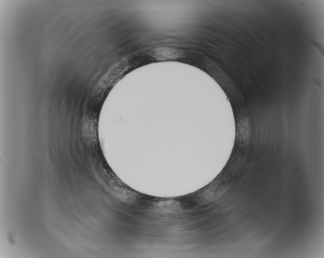 X0000103460426200810240954