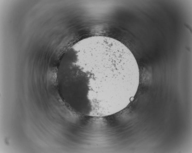 X0000103460427200810240954