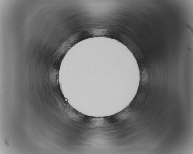 X0000103460428200810240954