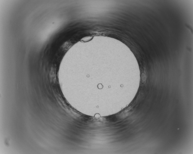 X0000103460429200810240954