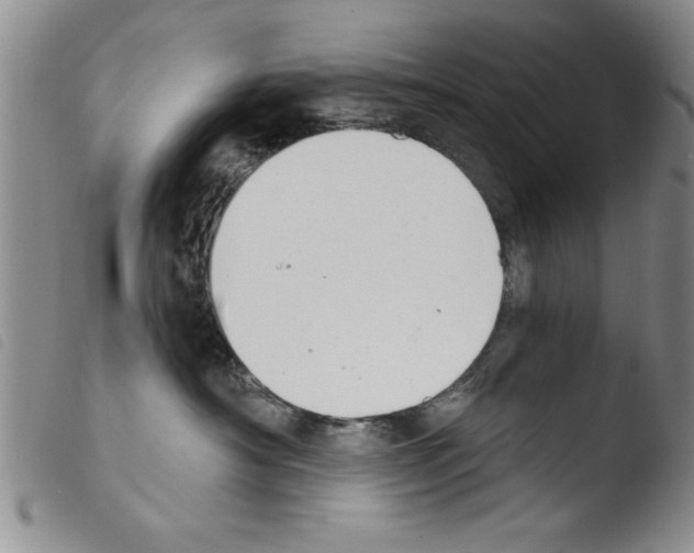 X0000103460430200810240953