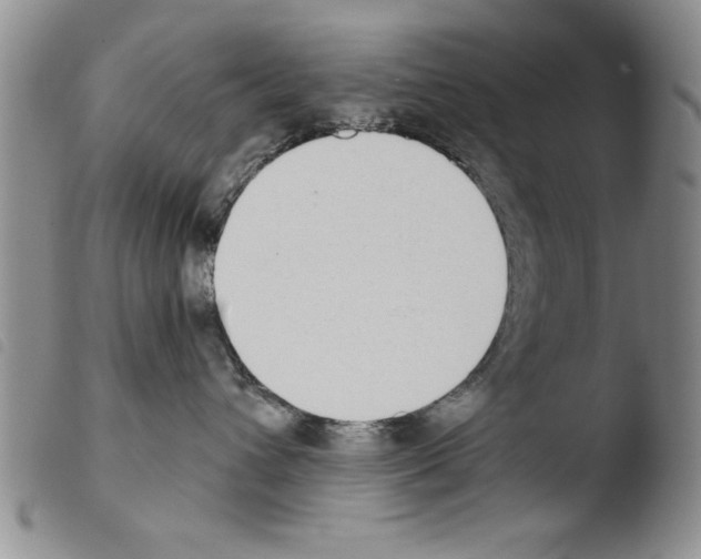 X0000103460432200810240953