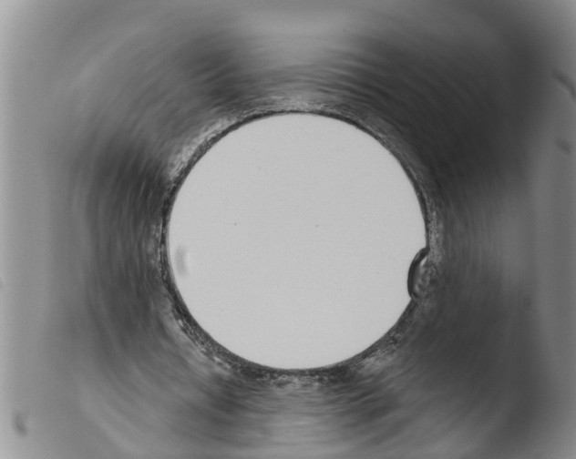 X0000103460434200810240953