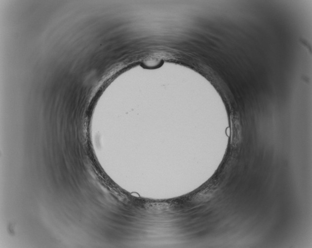 X0000103460435200810240953
