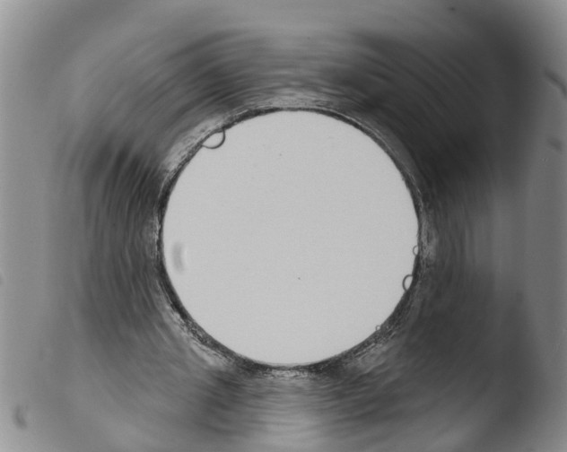 X0000103460437200810240953