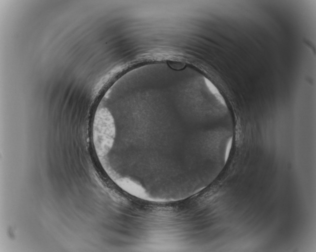 X0000103460438200810240953
