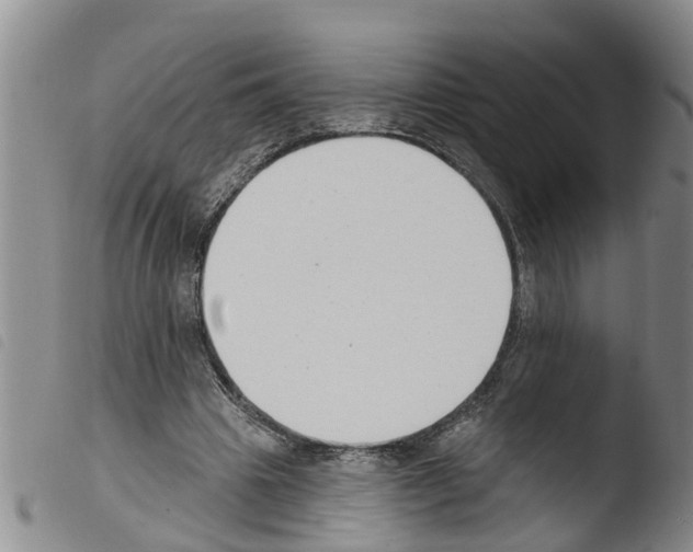 X0000103460441200810240953