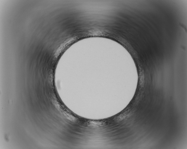 X0000103460442200810240953