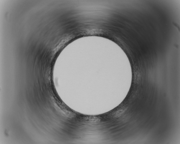 X0000103460443200810240953