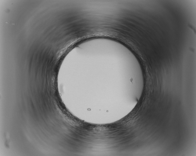 X0000103460444200810240953
