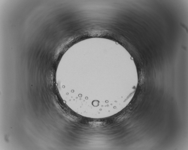 X0000103460448200810240953