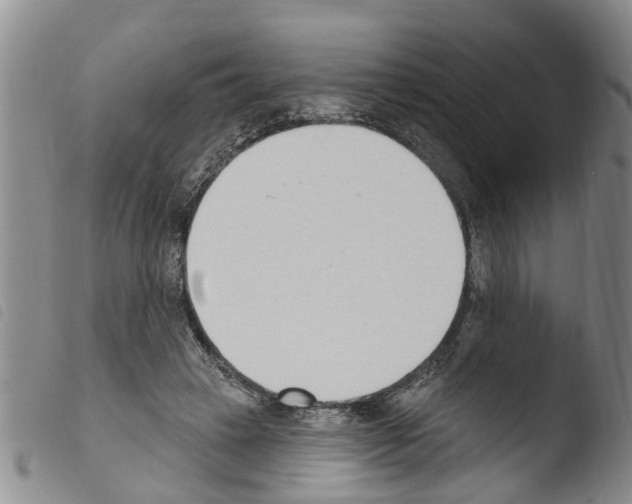 X0000103460449200810240953