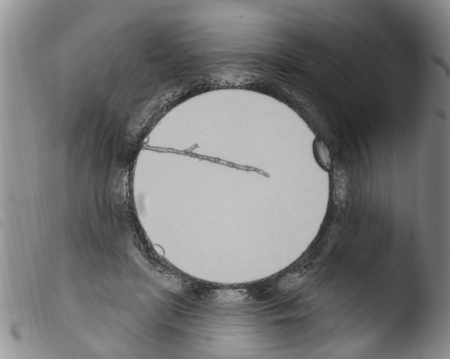 X0000103460451200810240953