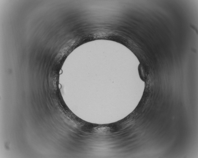 X0000103460452200810240953