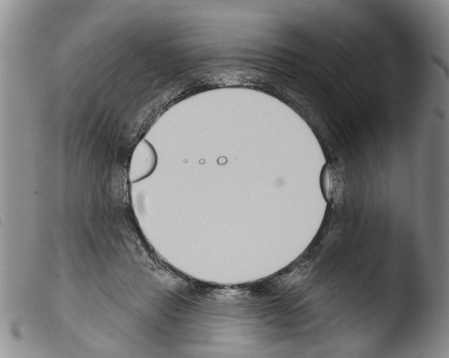 X0000103460453200810240953