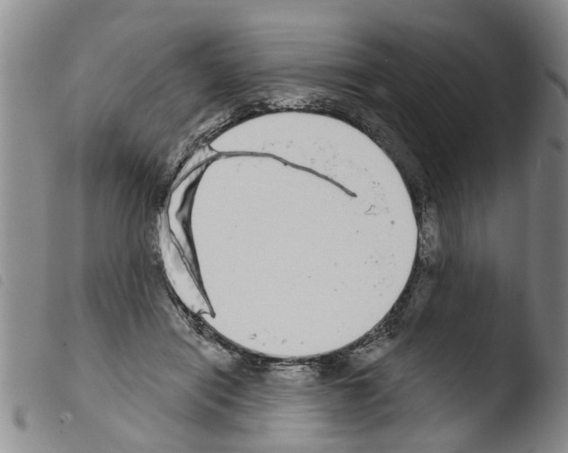 X0000103460454200810240953