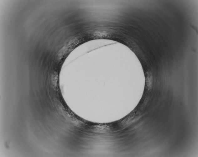 X0000103460458200810240953