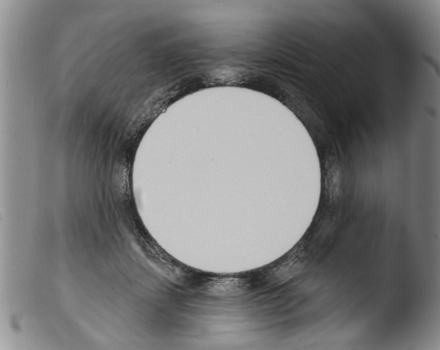 X0000103460459200810240953