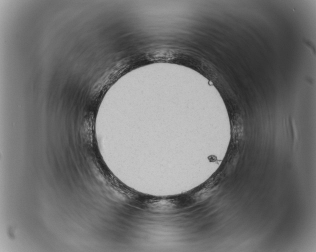 X0000103460460200810240953