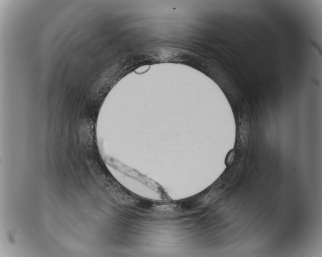 X0000103460461200810240953