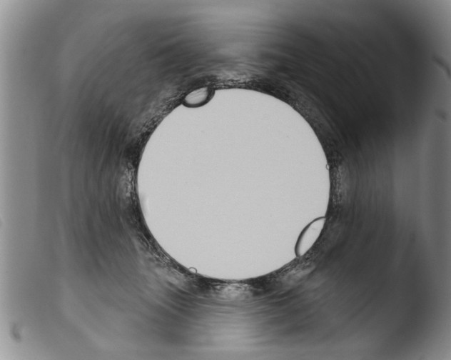 X0000103460463200810240953