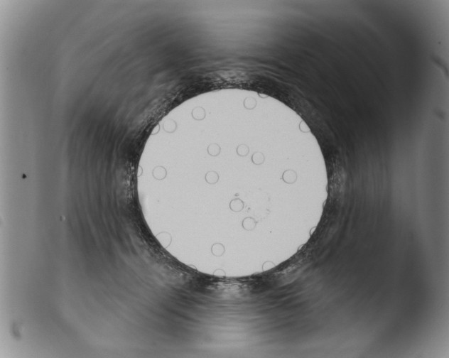 X0000103460464200810240953