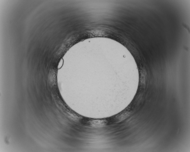 X0000103460465200810240953