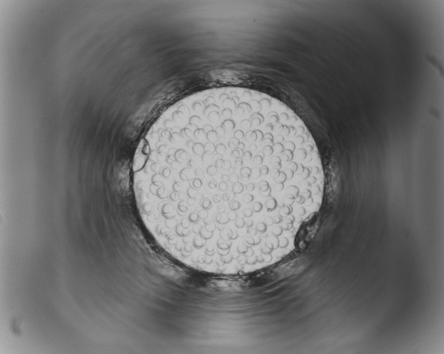 X0000103460466200810240953