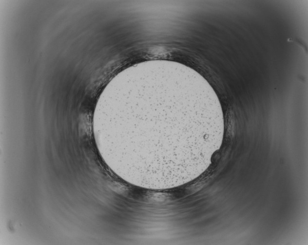 X0000103460467200810240953