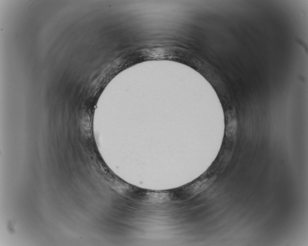 X0000103460469200810240953