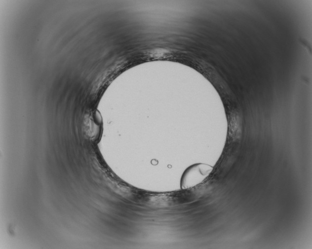 X0000103460470200810240953