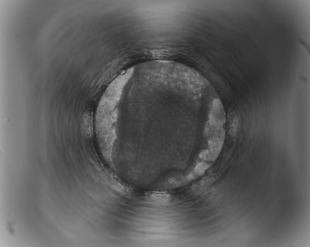 X0000103460471200810240953