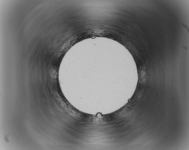X0000103460472200810240953