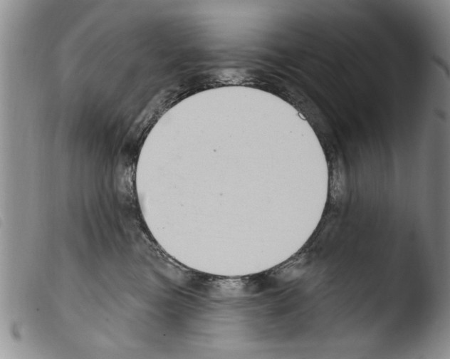 X0000103460473200810240953