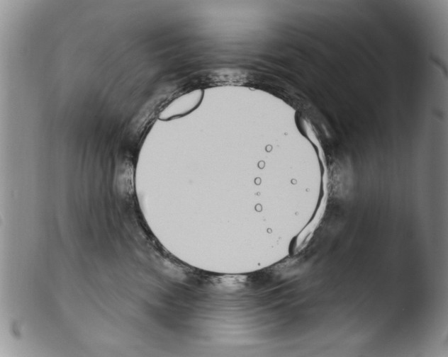 X0000103460474200810240953
