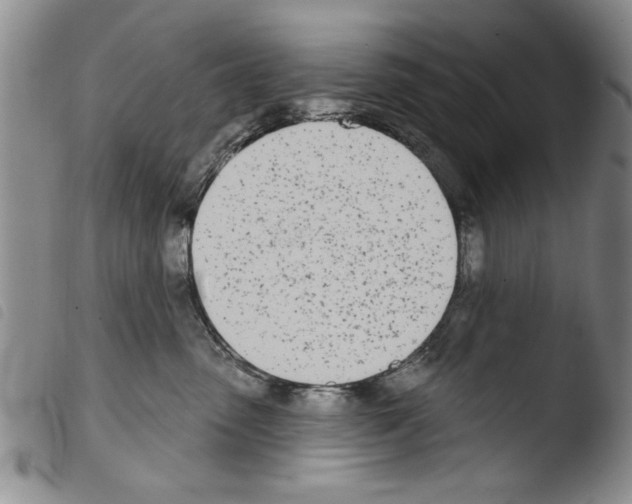 X0000103460475200810240953
