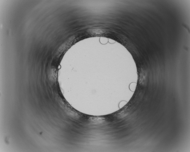 X0000103460476200810240953