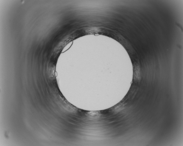 X0000103460477200810240953