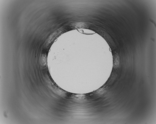 X0000103460478200810240953
