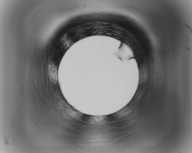 X0000103460479200810240953