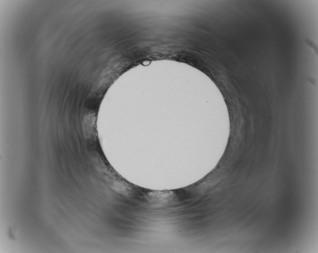 X0000103460480200810240953