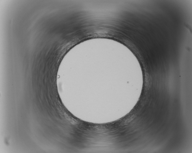 X0000103460481200810240953