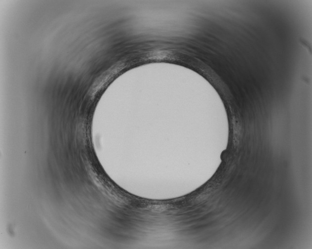 X0000103460482200810240953