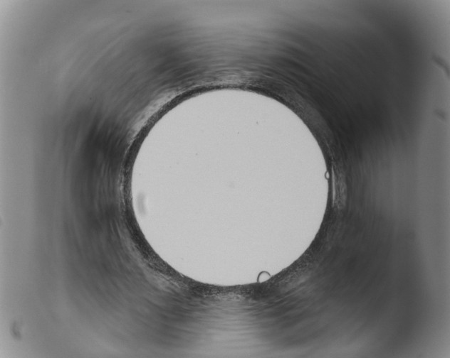 X0000103460483200810240953