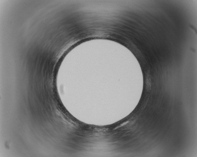 X0000103460484200810240953