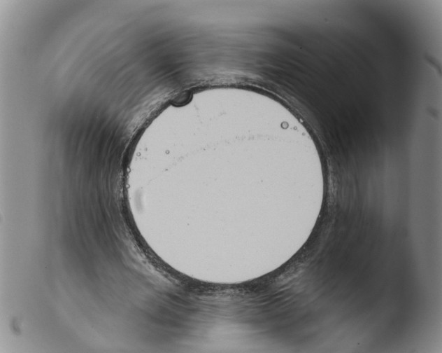 X0000103460485200810240953