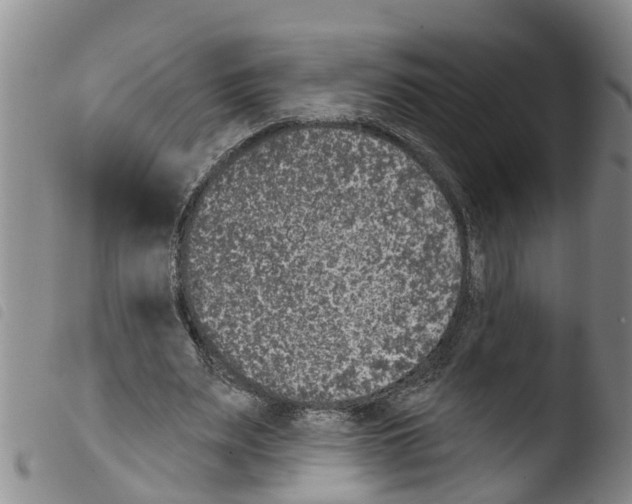 X0000103460487200810240953