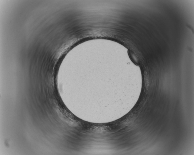 X0000103460488200810240953