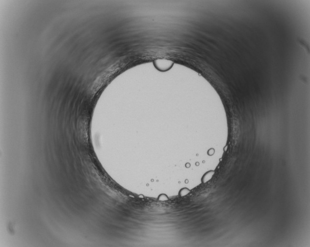 X0000103460489200810240953