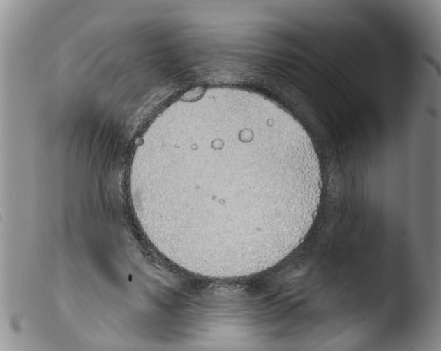 X0000103460491200810240953